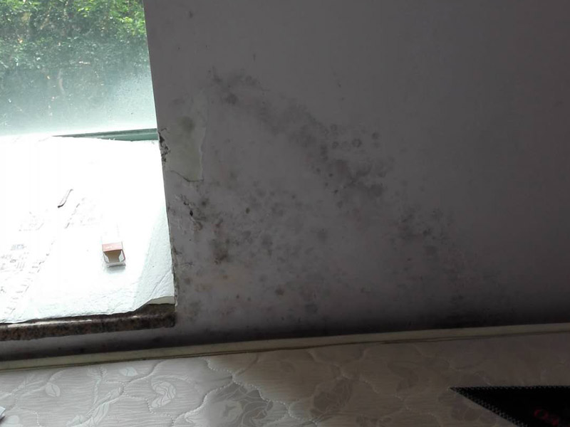 杭州屋頂防水用哪種材料好，杭州屋頂防水多少錢一平