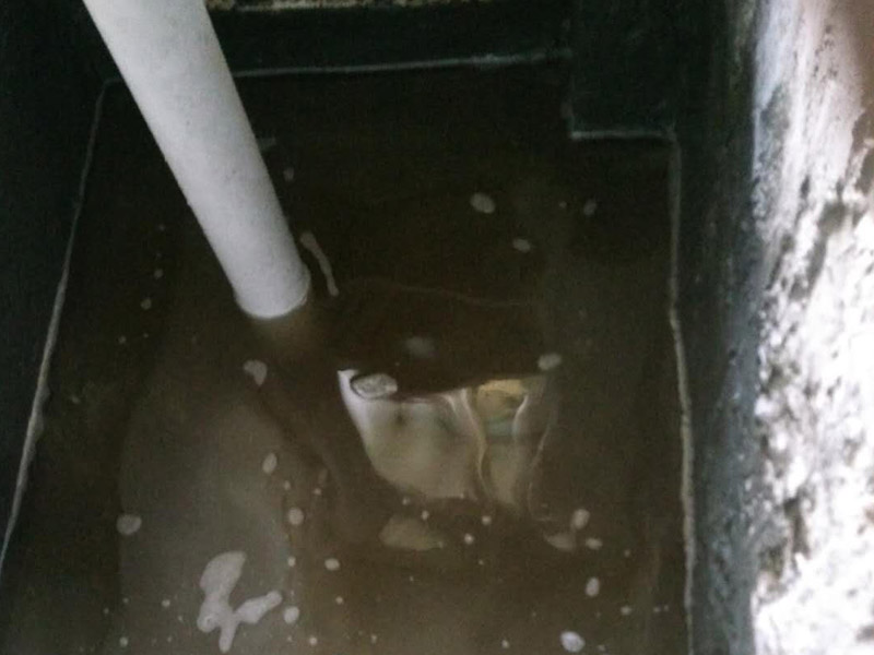 廚衛(wèi)閉水試驗(yàn)裝修：1、衛(wèi)生間防水施工完后必須等防水涂料完全凝固干透后才能試水。
2、終凝時(shí)間：各種防水涂料在產(chǎn)品的執(zhí)行標(biāo)準(zhǔn)中都有明確規(guī)定，產(chǎn)品不同其終凝時(shí)間的長短也不同。
3、一般情況，如目前常用的防水涂料施工完成24小時(shí)后即可試水。試水時(shí)間為24-48小時(shí)即可。
4、防水涂層達(dá)到終凝后不會(huì)因?yàn)樾钏畷r(shí)間的長短影響防水層的使用壽命。
5、衛(wèi)生間地漏一定要堵嚴(yán)實(shí)。
6、切記注意閉水試驗(yàn)時(shí)不要破壞防水層。