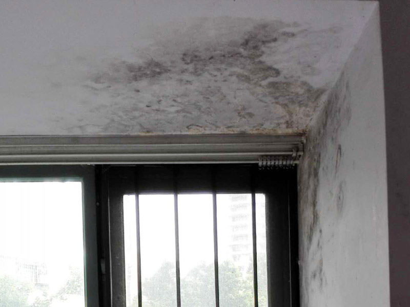 墻面起霉維修：墻壁起霉的處理：打磨、修補、刷防水涂料。
1、用砂紙打磨干凈，如果有脫層，用鏟刀處理平整；
2、如果墻面不平整，需要用膩子修補平整；如果墻面比較平整，建議先涂刷封閉底漆，然后再刷乳膠漆。
3、為了防止后期墻面再次發(fā)霉，建議再刷一層防水涂料、乳膠漆等。