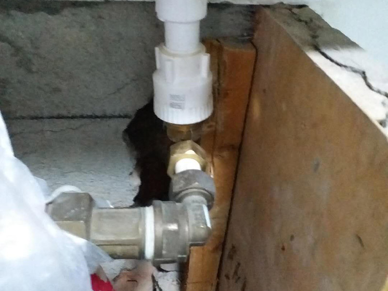 暗管改明管維修：房子里明裝的管道,適合于土建的粉飾作業(yè)結(jié)束之后施行,配裝之前,需要幫助土建準(zhǔn)確的預(yù)留或者是預(yù)埋孔洞以及套管。明敷的給水立管宜布置在靠近用水量大的衛(wèi)生器具的墻角、墻邊或立柱旁。   明敷的給水管不得穿越臥室、儲藏室以及煙道、風(fēng)道；給水管道不得緊挨熱源；給水立管距熱水器或者灶邊凈距不得小于內(nèi)400mm，當(dāng)條件不具備時，但最小凈距不得小于200mm。   根據(jù)住宅給水管道工程防凍保濕技術(shù)規(guī)程的要求給水管無論是室外明露敷設(shè)時，還是在室內(nèi)明敷都要考慮的一些可能的情況，如可能有冬季較容低溫度的冰凍現(xiàn)象，這時在鋪設(shè)時就應(yīng)采取防凍措施，確保管道外觀美觀的同時，應(yīng)用更加安全。