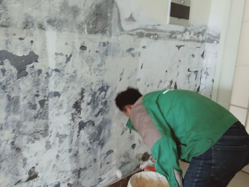 墻面刷墻固漆：首先就是要對墻面進(jìn)行固封，固封是很重要的一個(gè)環(huán)節(jié)，主要包括兩個(gè)方面：一是對墻面開裂處或者有孔洞的地方進(jìn)行填補(bǔ)，填補(bǔ)物主要是石膏，二是對墻面基層進(jìn)行鞏固，這需要使用固化劑。在完成固封、防水之后首先就要進(jìn)行厚找平層處理，一般都是先批刮膩?zhàn)右槐?，一定要注意厚度要適中，既不能太厚也不能太薄，要按照它的標(biāo)準(zhǔn)來，一般要求是不超過5毫米。接著再進(jìn)行精找平層處理，這時(shí)候一遍就不夠了，一般膩?zhàn)右?-3遍，太厚也無益。批刮完之后還需要用砂紙進(jìn)行打磨。盡可能地使墻面看上去更平整光滑。