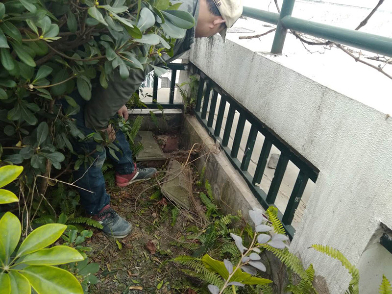 屋頂露臺看現(xiàn)場：如果防水師傅沒有檢驗基層，直接就刷防水涂料的話，那么基層比較差，后期肯定會發(fā)生滲漏問題的。當然，有的朋友會說，即便發(fā)生這種情況，后果也是該師傅來承擔的。但事實上，真的沒有人會希望發(fā)生問題，畢竟在出現(xiàn)問題之后，會給自己生活帶來很大的麻煩。