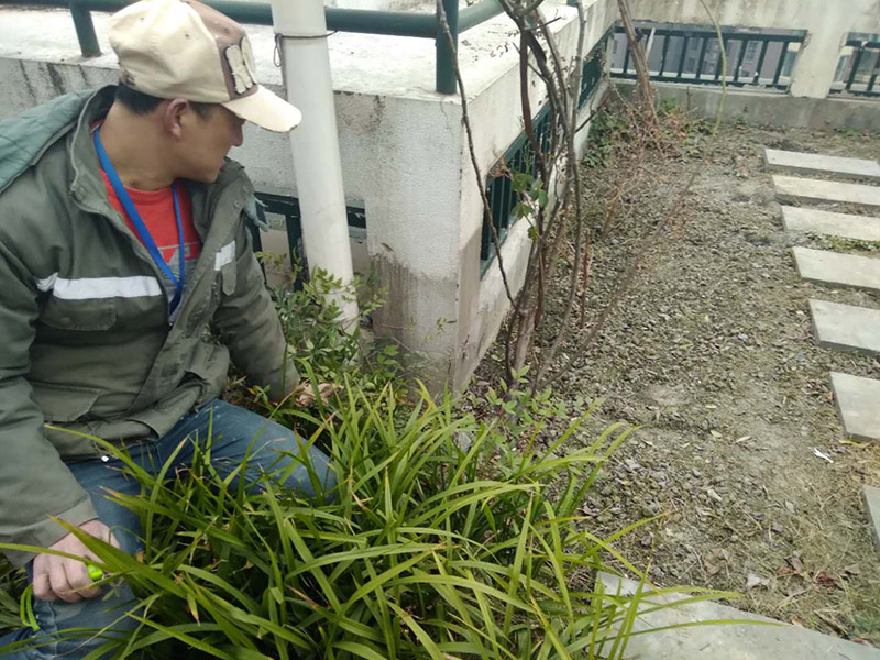 屋頂露臺看現(xiàn)場：如果防水師傅沒有檢驗基層，直接就刷防水涂料的話，那么基層比較差，后期肯定會發(fā)生滲漏問題的。當然，有的朋友會說，即便發(fā)生這種情況，后果也是該師傅來承擔的。但事實上，真的沒有人會希望發(fā)生問題，畢竟在出現(xiàn)問題之后，會給自己生活帶來很大的麻煩。