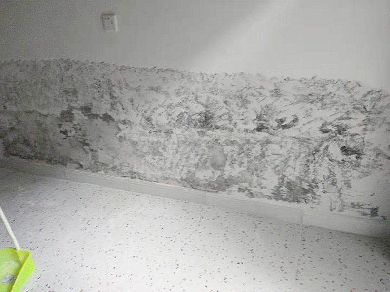 墻面局部鏟除防水：1、清理墻面：以鏟刀清除墻面已松動(dòng)的膩?zhàn)訉?。用鏟刀無法清除的膩?zhàn)訉?，可以用小錘子輕輕敲擊，如果沒有空鼓的聲音，并且敲后仍不松動(dòng)的地方可以保留原有的基層。 2、清洗墻面：用清潔水或洗滌靈將表面的浮塵、油污進(jìn)行徹底清洗干凈，然后用高壓水槍進(jìn)行徹底沖洗，清除已粉化的涂層。 3、修補(bǔ)墻面： （1）基層起皮的處理方法：鋼絲刷刷掉起皮的涂料面層，刷界面劑，重新進(jìn)行涂料施工。 （2）基層裂縫的處理方法：開V型槽，掛抗堿玻纖網(wǎng)格布，水泥砂漿抹面，批刮柔性膩?zhàn)?，進(jìn)行涂料施工。 （3）基層空鼓的處理方法：云石機(jī)切出空鼓的墻面，薄而多遍的水泥砂漿抹面，達(dá)到原有墻面的高度，刷界面劑，然后進(jìn)行涂料施工。