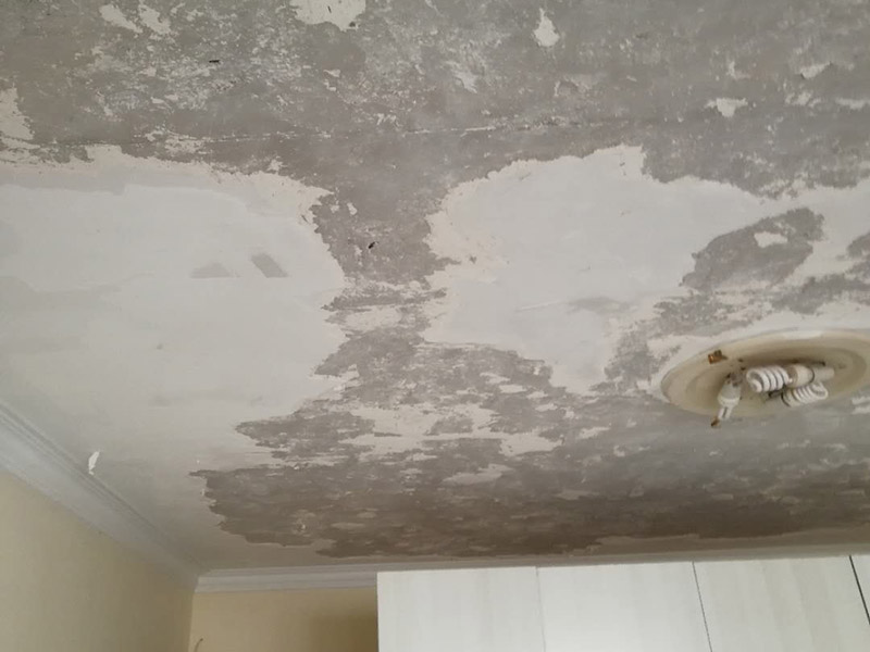 天花板鏟除翻新:1.舊墻的基本處理、舊墻的基本處理主要指清除墻面的原有裝修和裝飾。一般包括墻面原有的乳膠漆和膩子層的鏟除、木裝修、其它表面裝飾物(如壁紙)的拆除等。如果只裝修了一兩年的墻面，墻體的耐水膩子可以不必完全鏟除，用鋼刷和砂紙打磨墻面后即可重新涂刷乳膠漆。裝修時間較長的則需要將膩子層完全鏟除，重新刷上膩子再進行其他工序。 2.清理墻面、舊墻面在翻新前一定要做墻面基底處理，粉化嚴(yán)重的要全部鏟除，鏟除后抹上一層白水泥。原來墻面過于光滑、刷過油漆的鏟除后還要做打磨處理，把粘結(jié)不牢的表皮去掉，便于新涂料和墻體粘結(jié)。 3.涂刷底漆、墻面底漆的作用是抗堿防潮、封固基材、保護面漆，提高面漆的質(zhì)感和遮蓋力。對于老房翻新，墻面一定要做底漆，如果沒有刷底漆就直接上面漆的話，時間一長墻面容易起泡、發(fā)霉，太陽照曬時間長了也容易變色。 4.大面積修補、已經(jīng)上好面漆的墻面要修補會比較麻煩，容易產(chǎn)生色差，材料的使用時間不同，質(zhì)量也難以保證，很難達到理想效果。所以墻面的修補最好是整塊墻面，或是盡可能地選擇較大面積進行修補，這樣可以盡量避免產(chǎn)生色差，修補后的質(zhì)量也更好。 5.防色差、墻面色差是修補墻面時需要盡量避免的。為此，應(yīng)該注意按照油漆桶的說明配比、涂刷，最好估算好用量。一次準(zhǔn)備足夠的量，這樣能保證墻面顏色一致，也能避免用量不足重新調(diào)配出來的顏色有差異。