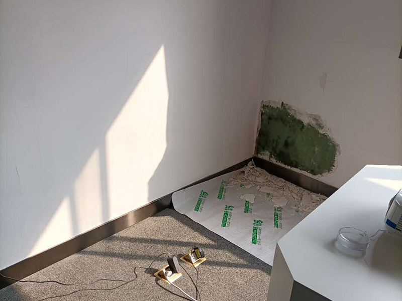 墻面局部修補(bǔ)施工:先將墻體破損凸出的地方鏟掉；取出從網(wǎng)上商城買的補(bǔ)墻膏補(bǔ)墻漆套裝；打開(kāi)補(bǔ)墻膏，先攪拌均勻后，用小鏟抹少量補(bǔ)墻膏，填進(jìn)坑洼起皮的部位，干燥24小時(shí)；隔天干后對(duì)墻體用砂紙打磨平整，用抹布把表面粉層擦拭掉；用補(bǔ)墻漆兌10%左右的水稀釋，攪拌均勻后用刷子涂在墻體上，進(jìn)行2~3涂刷。