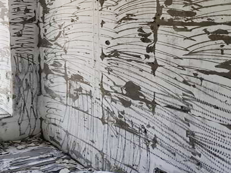 廁所改造拆除裝修：衛(wèi)生間的格局或是衛(wèi)浴設施、地磚、墻磚等地方不滿意，但在改造之前你需要將這些不滿意的地方進行拆除，且拆除之后的垃圾也要及時清理，避免阻礙施工進程。將不需要或是不滿意的地方進行拆除后，留下的成品需要進行施工保護，防止磕碰到，還可防止被上面的重物或是棱角碰壞。 水電改造可謂是改造衛(wèi)生間的重點，衛(wèi)生間原有的水電路管線往往有許多不合理的布局，所以在改造過程中要對原有的水電路進行徹查，看是否存在銹蝕、老化等情況，若有，則需要更換新的電路、水路，如果線路良好，且沒有多大的問題，則只需要添加刪減線路