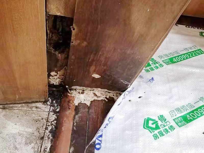 周口木門(mén)翻新哪里找專(zhuān)業(yè)師傅，木門(mén)翻新工藝是怎樣的