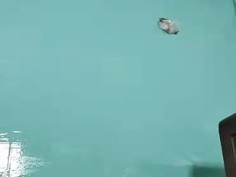 衛(wèi)生間防水貼磚裝修:首先就要搞清楚，防水不是只做一遍就可以的。一般的防水施工要做2到3遍，而且防水的順序也是有講究的，比如，要先做完墻面防水再貼墻磚，其次才可以做地面防水，再貼地磚。因?yàn)榈孛娼?jīng)常會(huì)踩來踩去，地面防水如果先做了會(huì)很容易踩壞。