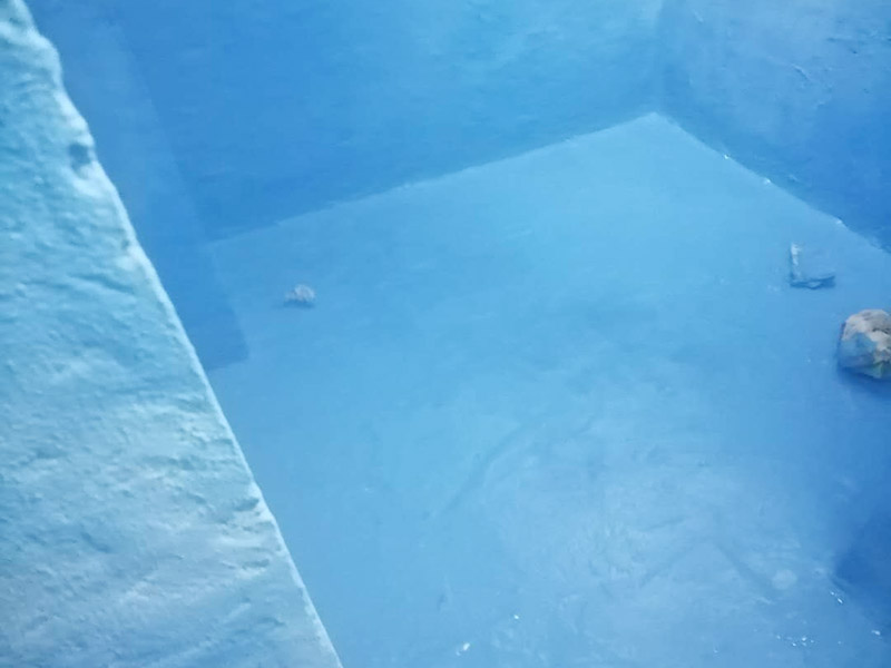 衛(wèi)生間防水維修: 鏟除原有的墻磚和地磚，這個步驟主要是針對老房二次裝修的，如果是新房可以跳過這個步驟，一般使用灰刀就可以，刮板也可以將原有的地磚鏟除掉。墻面將水電改造開槽用水泥封堵基層清理，細(xì)部附加層施工，在管根、地漏、陰陽角、等容易漏水的薄弱部位均勻涂刷，涂刷防水涂料兩遍，縱向橫向各涂刷一遍，做保護(hù)層，待防水干燥后放水做48小時閉水試驗(yàn)。