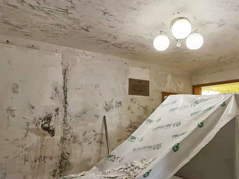 客廳墻面拆除翻新：墻面如果出現(xiàn)細(xì)微白色粉末，說明墻內(nèi)鹽分在析出，這時候建議大家可以用尼龍刷或鐵刷將其刷除，在觀察幾天，確定不再有白色粉末析出，且待水泥墻面干燥磨平，便可上漆。若水泥墻表面白色粉末多且不斷析出，將其清理后，可先上一道墻面底漆，預(yù)防日后鹽分侵蝕，形成壁癌。也不要在三個月內(nèi)使用油性涂料或不透水的壁紙涂刷或裝修?？梢允褂玫痘蚴氰F刷來除去墻面剝落的漆膜，然后利用砂紙將墻面表層磨平就可以了。用批土刀來修整墻體的表面，有的墻面會出現(xiàn)污漬、開裂、起泡等現(xiàn)象，都要及時做處理。墻面涂刷的時候應(yīng)該先從頂部開始