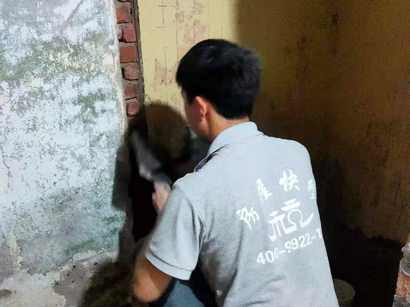 墻面抹水泥找平:步驟一：清理墻面；把墻面起皮和裂縫位置處理干凈，并用水泥砂漿補抹好，把殘留的灰渣鏟除干凈，然后把墻面清理干凈。需要注意的是：如果墻面吸水性比較強，要先用清水濕潤或是噴刷膠水做封底處理。  步驟二：第一遍刮膩子；水泥抹面的墻面最好配制底料，不僅能降低工程造價，還可以提高施工的質(zhì)量。 步驟三：第二遍刮膩子；第一遍墻體干透后，可以上第二遍膩子進(jìn)一步刮平。但是第二遍的膩子調(diào)兌不易過稀，它的含水量別過大，要保證第二遍膩子刮涂后的水分盡快被第一遍的膩子吸收，只有等到墻面水分減少到一定程度后方才可進(jìn)