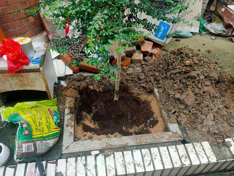 庭院植物底部防水：找到本來(lái)的防水層，由于防水層不是顯露的，是在面層下部，有必要將面層進(jìn)行悉數(shù)根除，找到本來(lái)的防水層。將原防水層根除以后，找平，將本來(lái)下部保溫層里存的水進(jìn)行排干，設(shè)一些排氣孔做排氣辦法，將保溫層里的水分排干。做完防水層以后，必定要做找坡處理，不要形成屋面部分存水，通常設(shè)置水泥砂漿找平找坡，找坡的斜度不小于3%。再進(jìn)行閉水實(shí)驗(yàn)，不漏水為合格，再進(jìn)行康復(fù)上面的維護(hù)及鋪貼面磚裝修。