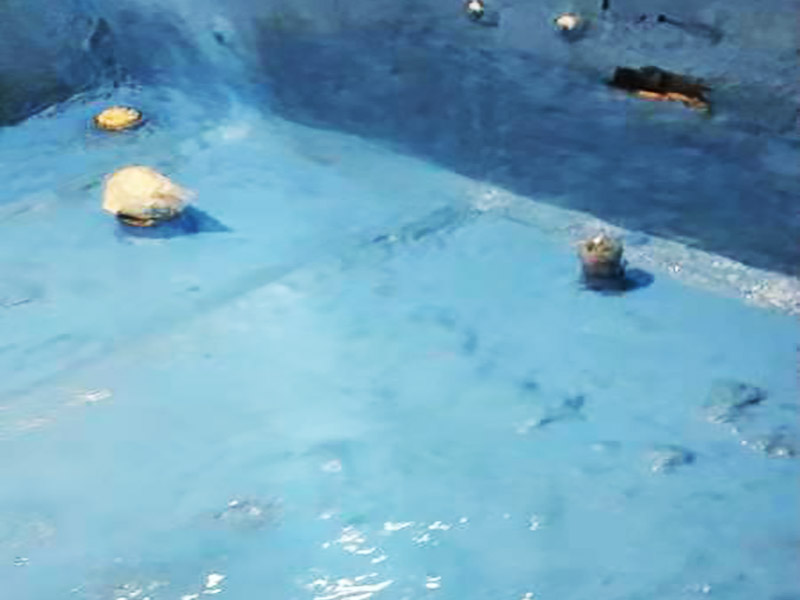 衛(wèi)生間貼磚裝修:衛(wèi)生間貼磚的流程首先先清掃地面，水泥砂漿找平，接著再定標高，彈線，地磚進水，攤鋪水泥砂漿，鋪貼石磚，最后灌縫，白水泥或者填縫劑都可以，或者做專業(yè)的美縫。