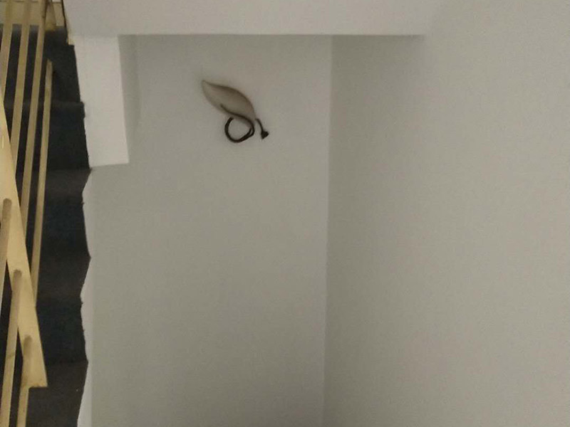 重慶屋頂漏水維修反復(fù)滲漏原因，重慶屋頂漏水怎么處理