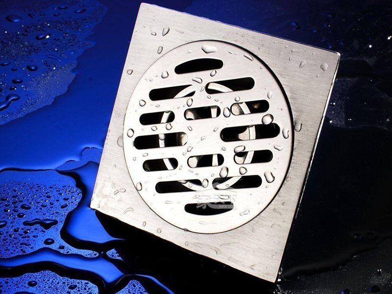 地漏總是反味有異味偶爾還有小飛蟲，保證地漏清潔是解決問題的根本