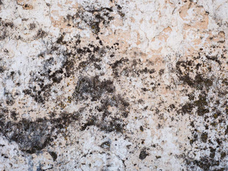 墻面發(fā)霉怎么處理妙招整理，搞清楚發(fā)霉原因?qū)ΠY下藥才能藥到病除