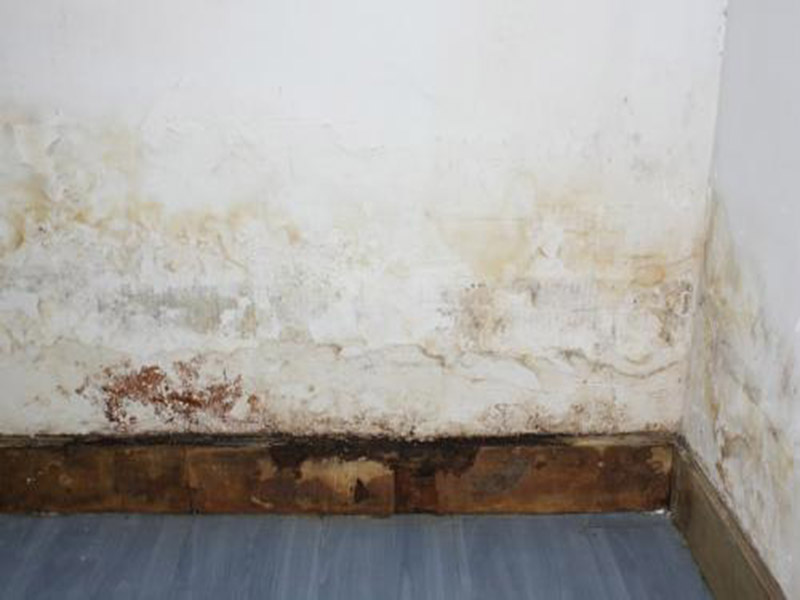 墻面發(fā)霉怎么處理妙招整理，搞清楚發(fā)霉原因?qū)ΠY下藥才能藥到病除