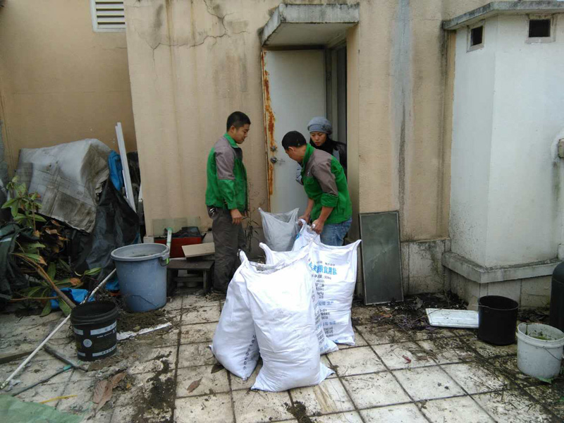 花園改造注意事項，警惕植物根系穿刺防