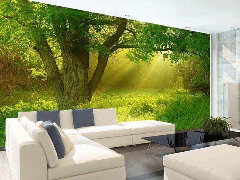 福州墻面設(shè)計有哪些要求，福州墻面怎么