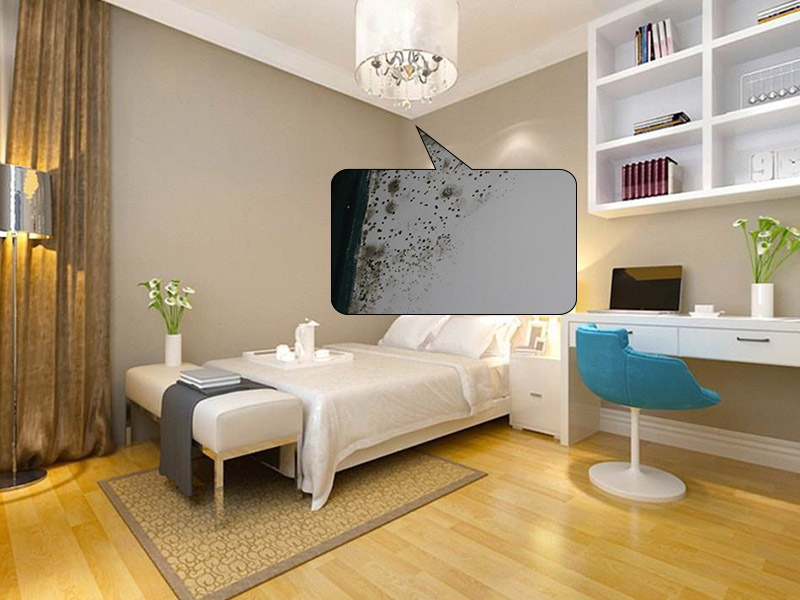 驚了！原來墻體發(fā)霉會(huì)對(duì)人體存在危害，