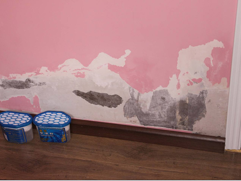 梅雨季節(jié)墻壁發(fā)霉怎么處理，為大家整理