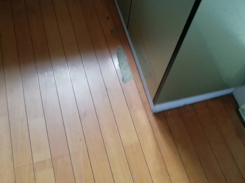 洛陽地板翻新要點，洛陽地板翻新條件