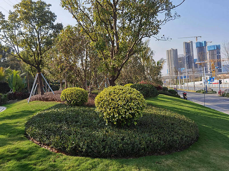 城市綠化環(huán)境改造工程包括哪些內(nèi)容？