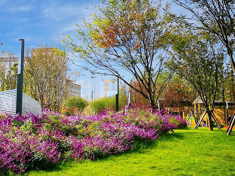 景區(qū)綠化環(huán)境改造找誰做？